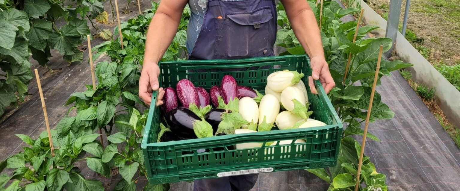 Bio'Pic - Intérieur