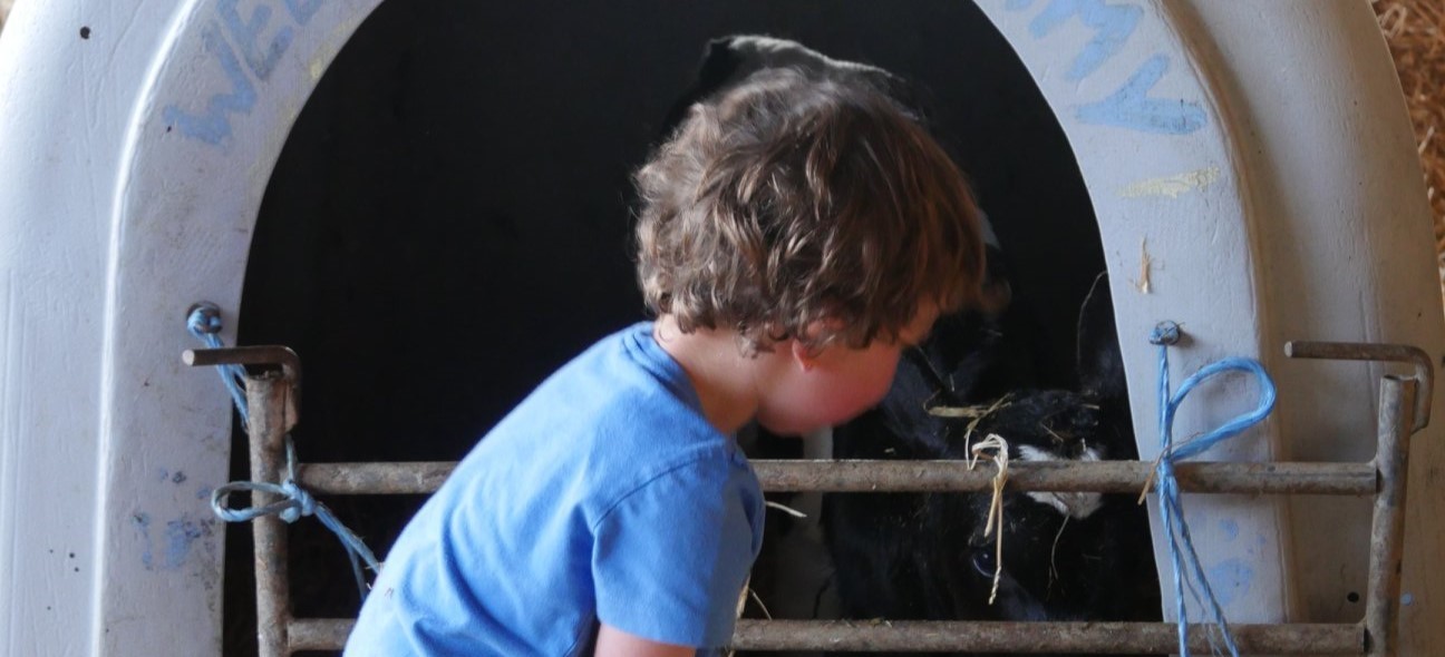 Ferme Seutin - Photo 2